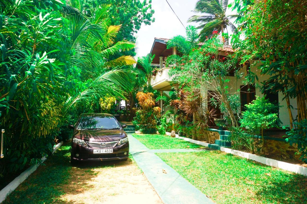 Panorama Rock Cafe Bed & Breakfast Tangalle Dış mekan fotoğraf