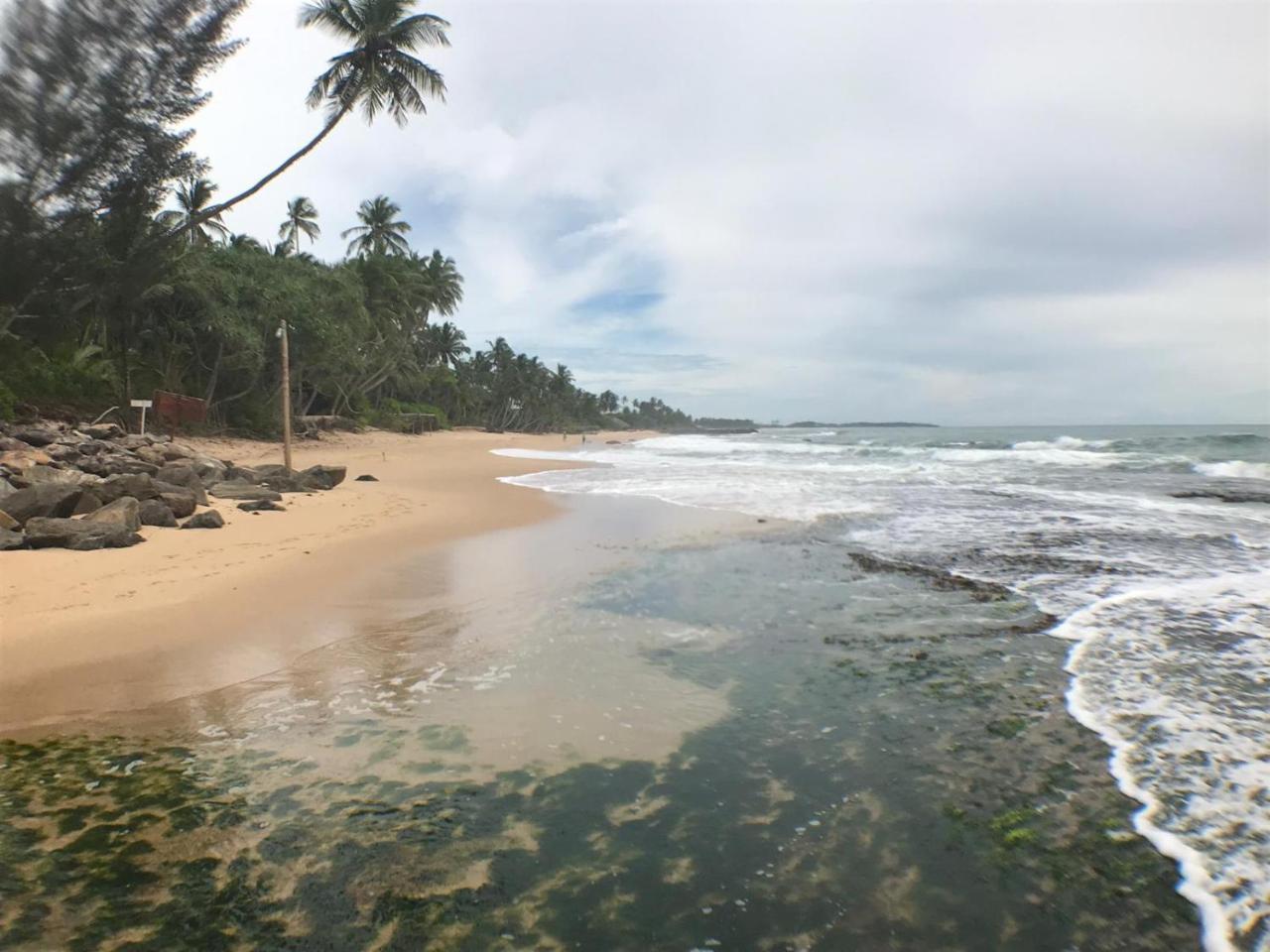 Panorama Rock Cafe Bed & Breakfast Tangalle Dış mekan fotoğraf